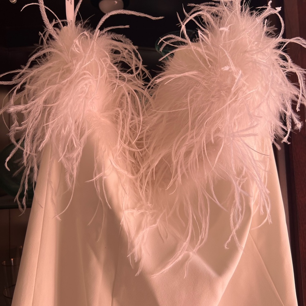 David's Bridal Cream Feathered Wedding Dress